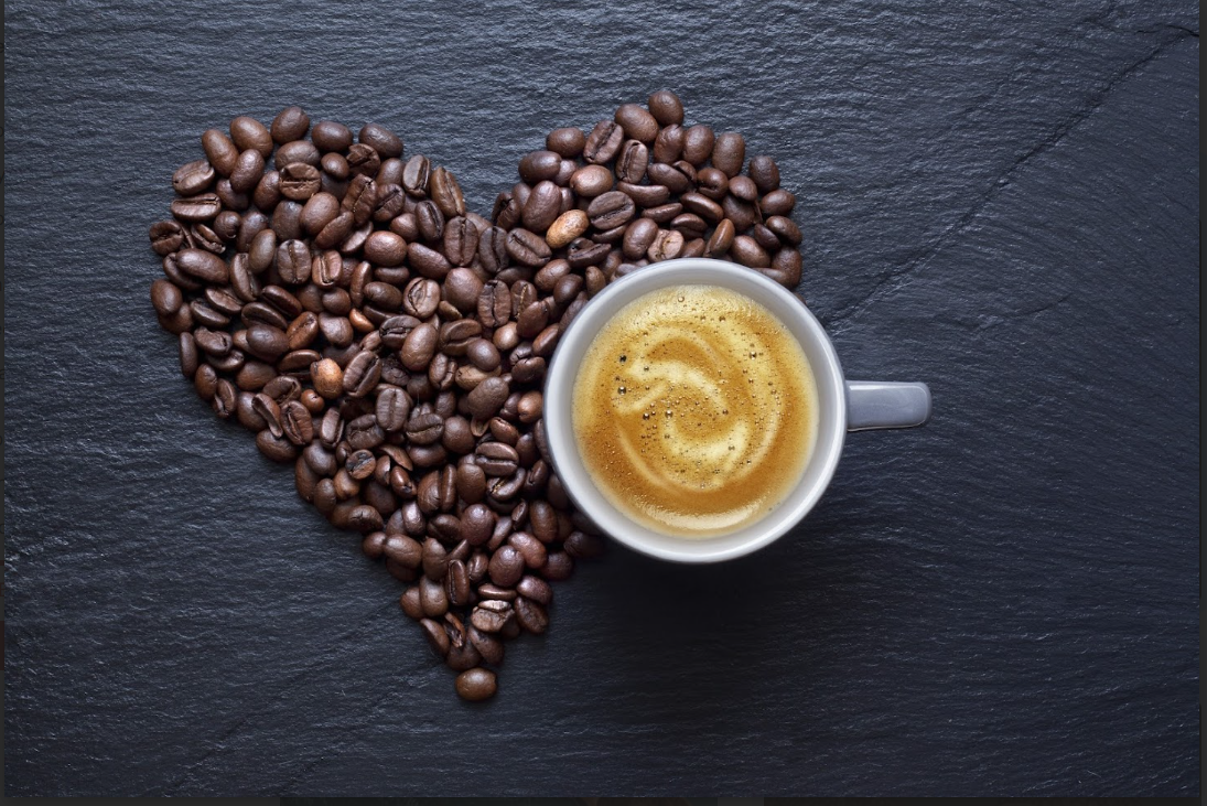 Cafe and Coffee 14